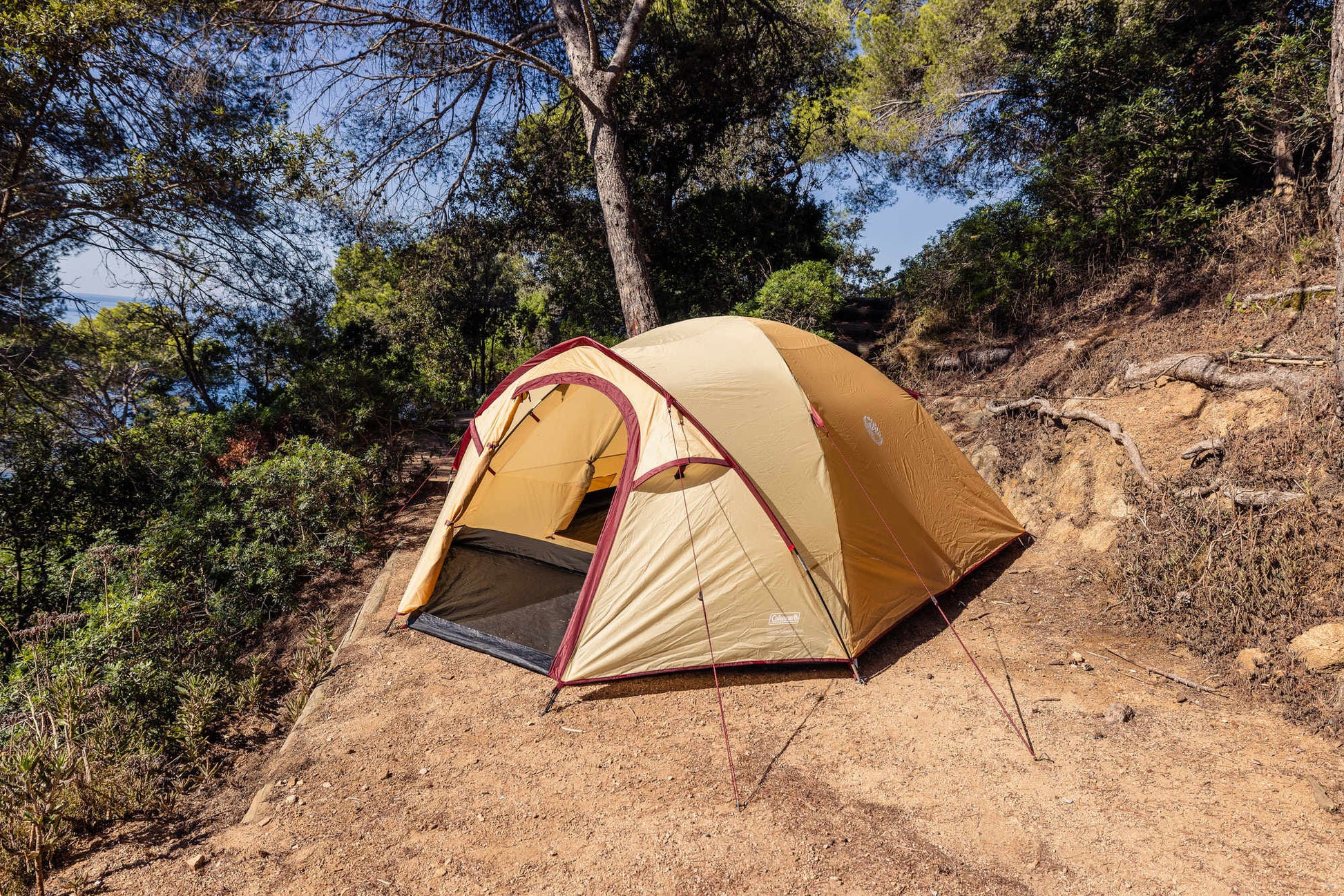 Coleman Darwin 4 Plus Summer 4 Personen Kuppelzelt