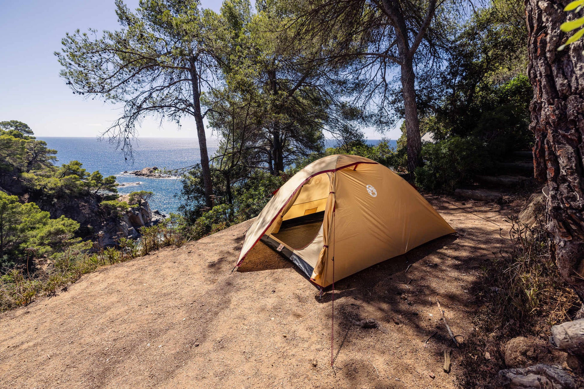 Coleman Darwin 3 Summer 3 Personen Kuppelzeit