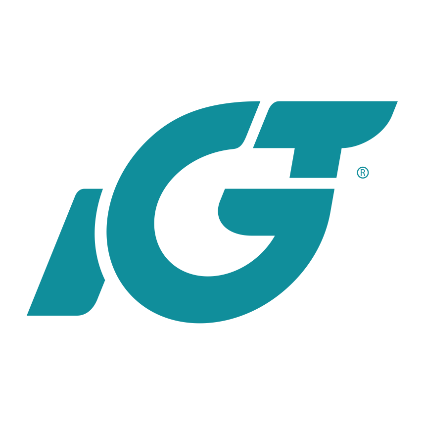 B-Ware IGT Gasschlauch 800 mm